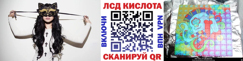 Наркотические марки 1,5мг  мориарти формула  МЕГА вход  Новодвинск  купить закладку 